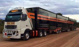 Truck Wheel Hub Temperature label